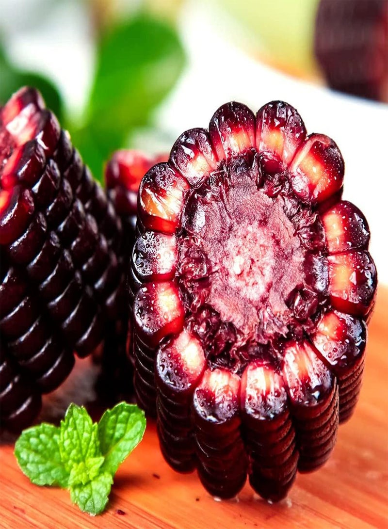 جي جوت 30 قطعة من بذور الذرة التراثية لزراعة الحبوب السوداء في فناء الحديقة، وهي أصناف خضروات مميزة يحبها العديد من البستانيين المنزليين - Image 1