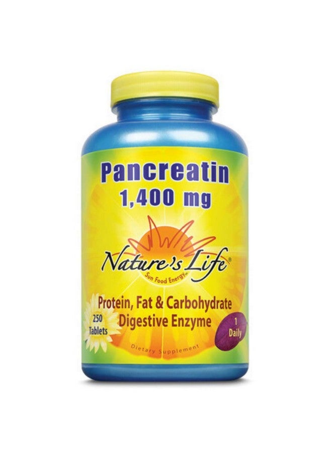 Nature's Life Pancreatin 4X Strength | 250 ct