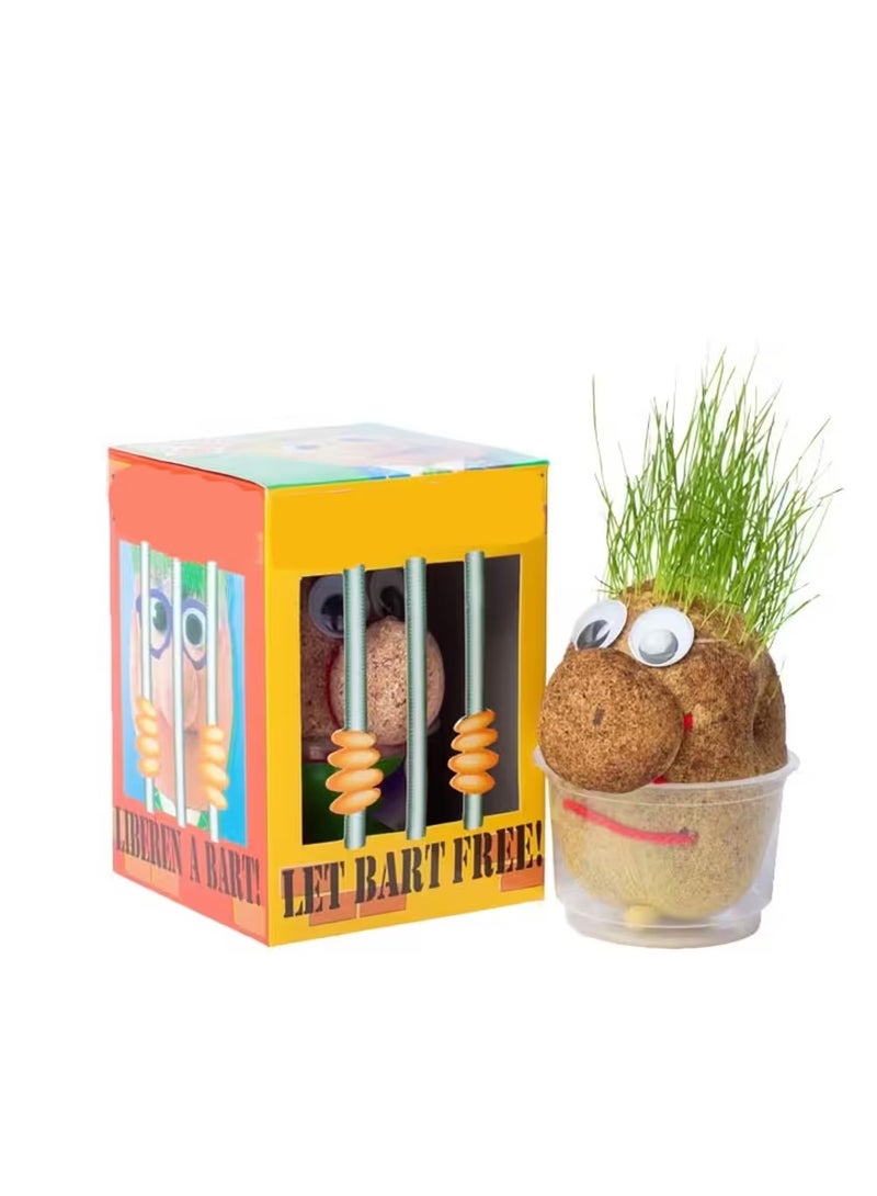 Rally Educational Growing Grass Head Doll - Fun and Interactive Gardening Toy for Kids