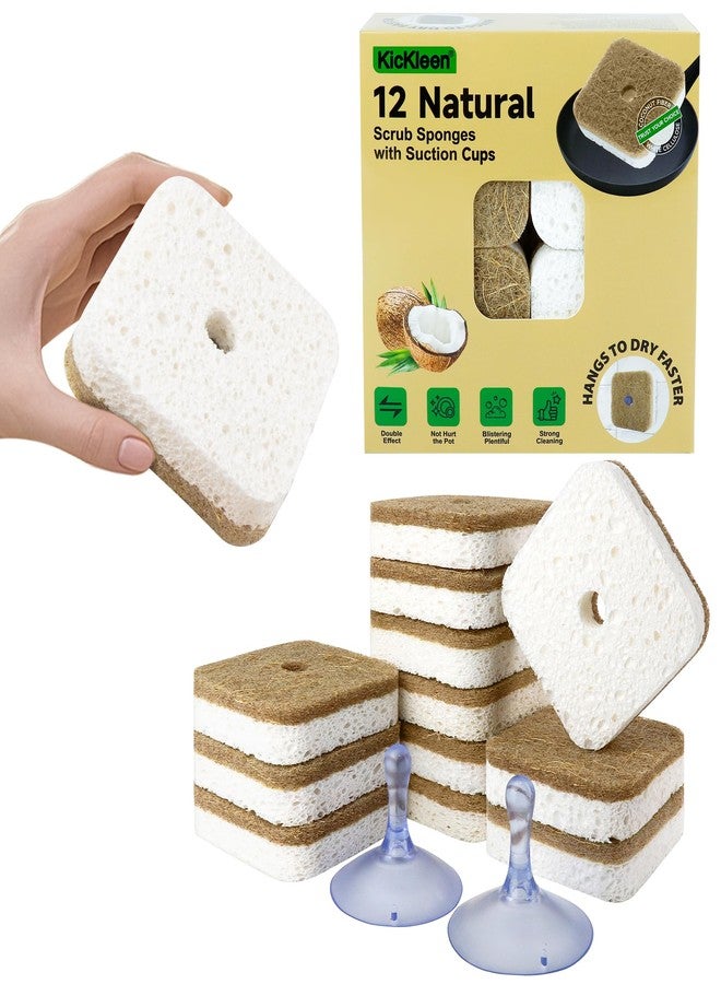 kickleen 12Pack Kickleen Natural Kitchen Scrub Dish Sponge with Suction Hanger Biodegradable Compostable Cellulose and Coconut Non-Scratch Sponge for Kitchen, Bathroom, Household (White-12) - Image 1