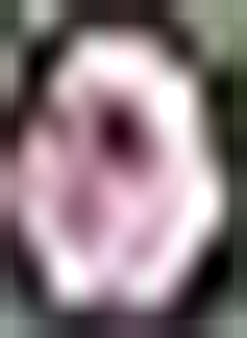 GGOOT 2pcs Roze Dahliabollen Tuinterras Natuurlijke groei Buitenbeplanting Trekt vlinders aan Bijen cultiveren planteninteresse Creëer EEN prachtige omgeving - Image 2