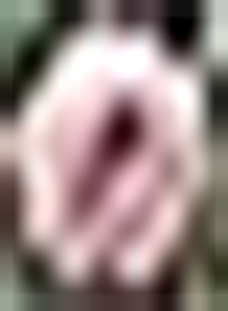 GGOOT 2pcs Roze Dahliabollen Tuinterras Natuurlijke groei Buitenbeplanting Trekt vlinders aan Bijen cultiveren planteninteresse Creëer EEN prachtige omgeving - Image 1