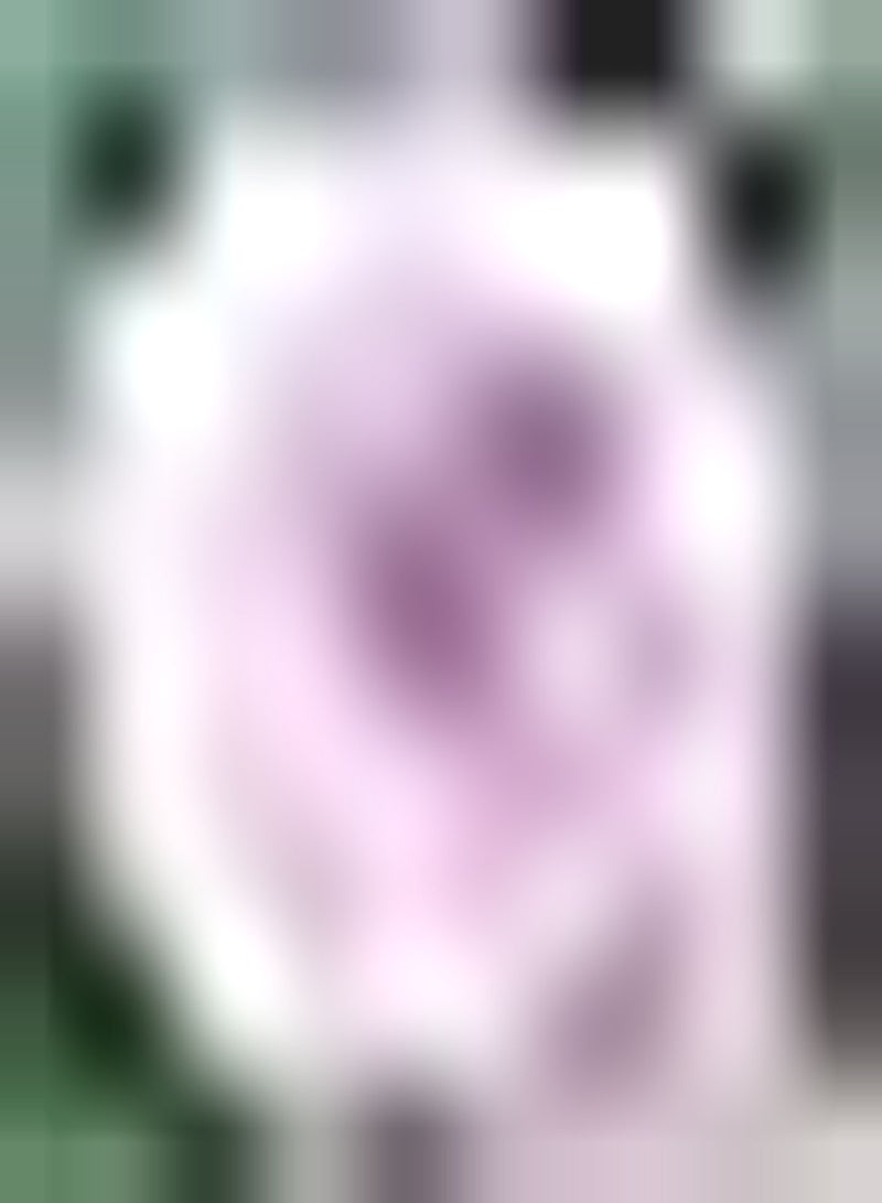 GGOOT 2pcs Roze Dahliabollen Tuinterras Natuurlijke groei Buitenbeplanting Trekt vlinders aan Bijen cultiveren planteninteresse Creëer EEN prachtige omgeving - Image 3