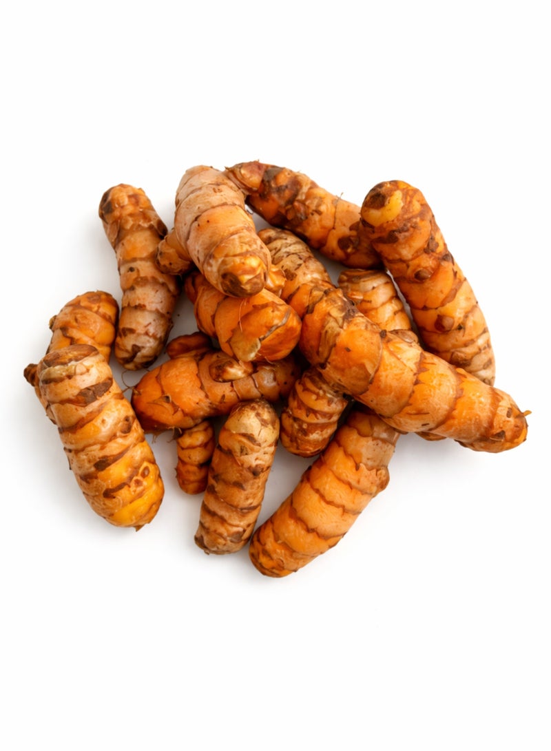 Fresh Turmeric Root (Haldi Fresh) | Kurkum Taza | 100% Natural Raw Whole Turmeric Rhizomes | Premium Farm Fresh for Kitchen & Wellness Use - Image 1
