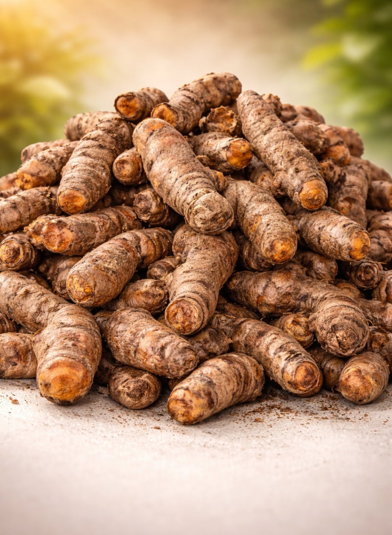 Fresh Turmeric Root (Haldi Fresh) | Kurkum Taza | 100% Natural Raw Whole Turmeric Rhizomes | Premium Farm Fresh for Kitchen & Wellness Use - Image 3