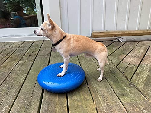 DEZAL Dog Balance Disc Cushion 14 With 2 Exercises and Pump Dog rehab Exercise Strength Endurance Conditioning Fitness Flexibility Rehabilitation Physical Training Tool for Senior Dogs - Image 3