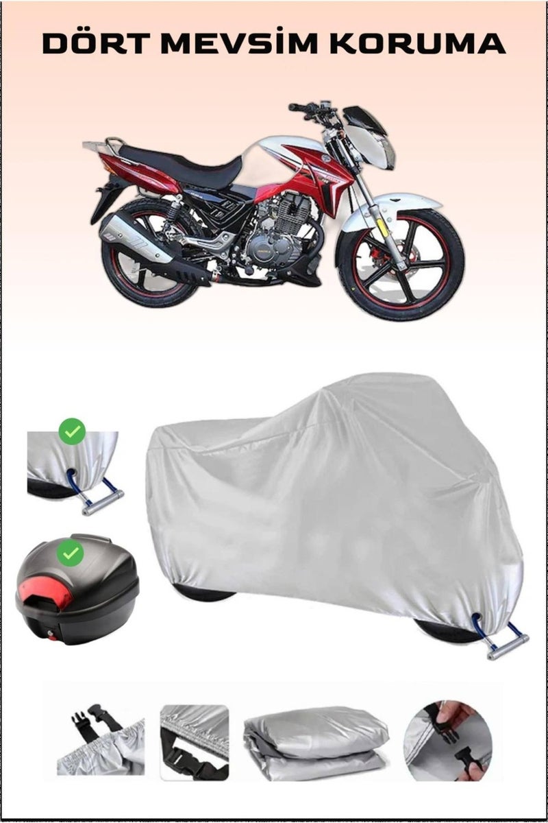 Breen Arora Ar 185-20 Storm Rear Bag and Lock Compatible Gray Motorcycle Canvas, Safe - Image 1