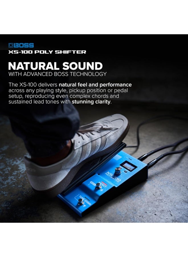 Boss XS-100 Poly Shifter Pedal - Image 2