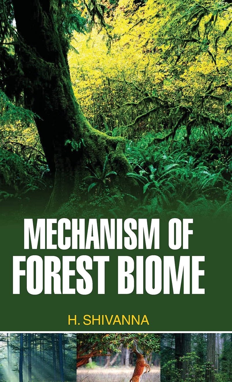 Mechanism of Forest Biome - Image 1