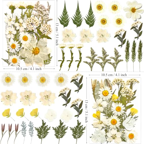 MIKIYA 90Pcs White Dried Pressed Flowers for Resin Molds, Real Natural Bulk Dry Floral Leaves for DIY Art Crafts, Epoxy Jewelry, Candle, Soap Making, Nails Decors Gifts - Image 5