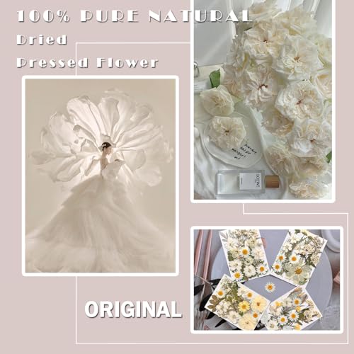 MIKIYA 90Pcs White Dried Pressed Flowers for Resin Molds, Real Natural Bulk Dry Floral Leaves for DIY Art Crafts, Epoxy Jewelry, Candle, Soap Making, Nails Decors Gifts - Image 2