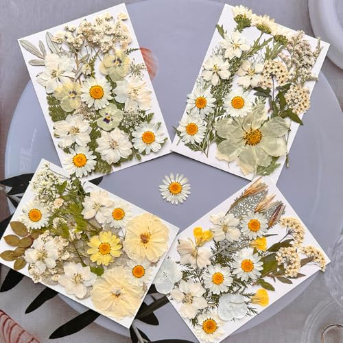 MIKIYA 90Pcs White Dried Pressed Flowers for Resin Molds, Real Natural Bulk Dry Floral Leaves for DIY Art Crafts, Epoxy Jewelry, Candle, Soap Making, Nails Decors Gifts - Image 3