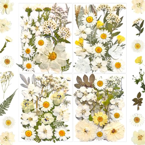 MIKIYA 90Pcs White Dried Pressed Flowers for Resin Molds, Real Natural Bulk Dry Floral Leaves for DIY Art Crafts, Epoxy Jewelry, Candle, Soap Making, Nails Decors Gifts - Image 1