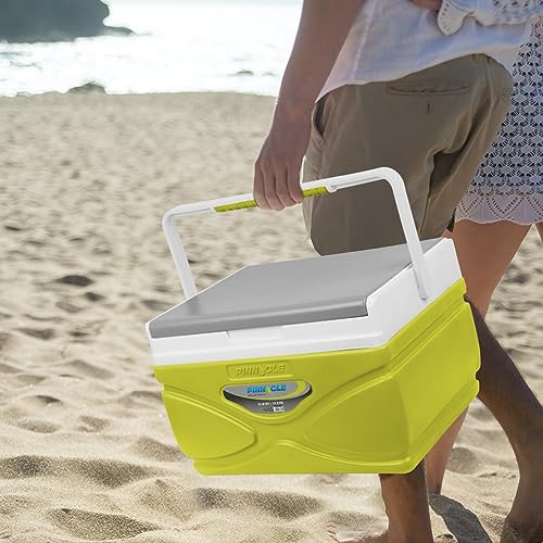 Pinnacle 4.5-11 Liter Insulated Cooler Lunch Box Set Portable Camping/Picnic Hard Cooler –Coolbox Keeps Cool for 48 hrs. with Ice Retention–Heavy Duty Cooler for Beach, Grill, Tailgating, Small -med - Image 5