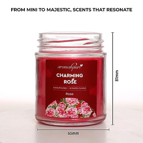 Aromahpure Scented Candle (45 hrs) (100% Soy Wax) -Handcrafted | Smoke-Free | Charming Rose- Rose Fragrance Candles for Home & Gift Sets - Image 2