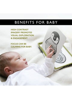 Black And White Art Flash Cards For Babies High Contrast Educational Animal Picture Cards Baby Visual Stimulation Brain And Memory Development In Infants And Toddlers B&W Animals - pzsku/Z886A106EA066AB03FDC9Z/45/_/1692165090/e3ad666e-d7d8-4884-895f-b15b0f77d856