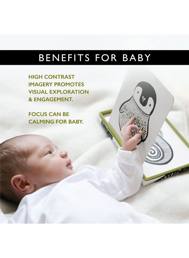 Wee Gallery Black And White Art Flash Cards For Babies High Contrast Educational Animal Picture Cards Baby Visual Stimulation Brain And Memory Development In Infants And Toddlers B&W Animals - Image 3