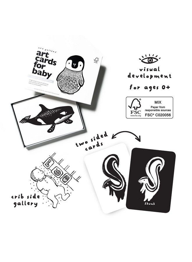 Wee Gallery Black And White Art Flash Cards For Babies High Contrast Educational Animal Picture Cards Baby Visual Stimulation Brain And Memory Development In Infants And Toddlers B&W Animals - Image 5