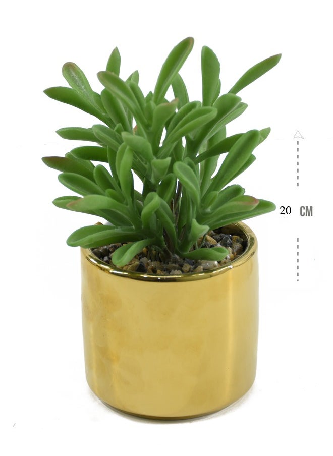 DRAMA HOME Artificial Succulent Plant Home Décor Artificial Indoor Plants in Gold Ceramic Pot  - Image 2