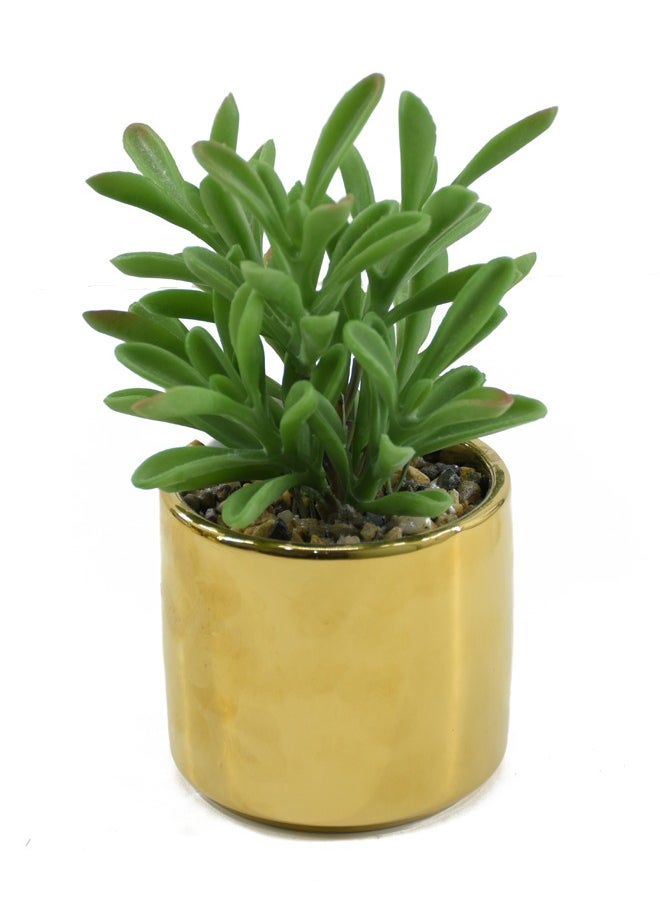 DRAMA HOME Artificial Succulent Plant Home Décor Artificial Indoor Plants in Gold Ceramic Pot  - Image 1