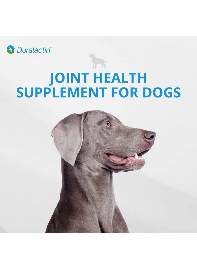 PRN Pharmacal Duralactin Canine Soft Chews - Joint Health Supplement for Dogs & Puppies to Help Reduce Chronic Soreness - Canine Chews Containing Dried Milk Protein - Chicken-Liver Flavor - 60 Chews - Image 3
