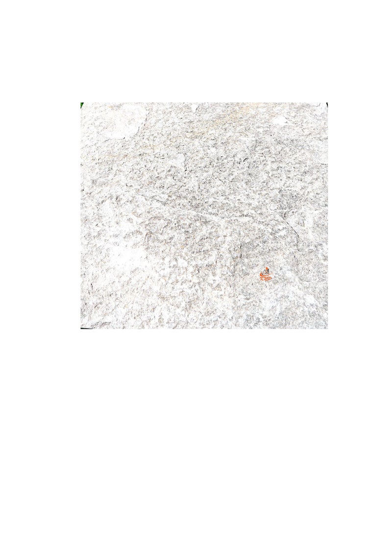 KNP Garden stepping stones Square 30x30cm Greenish Gray set of 5 stones - Image 2