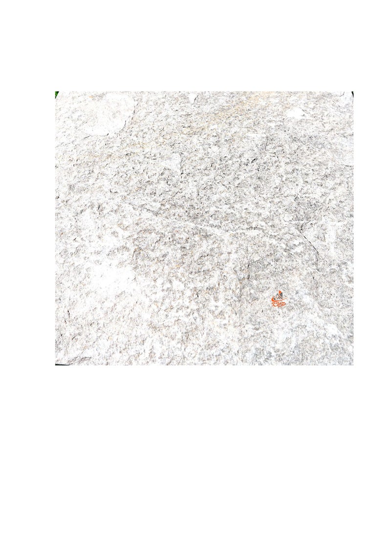 KNP Garden stepping stones Square 30x30cm Greenish Gray set of 5 stones - Image 3