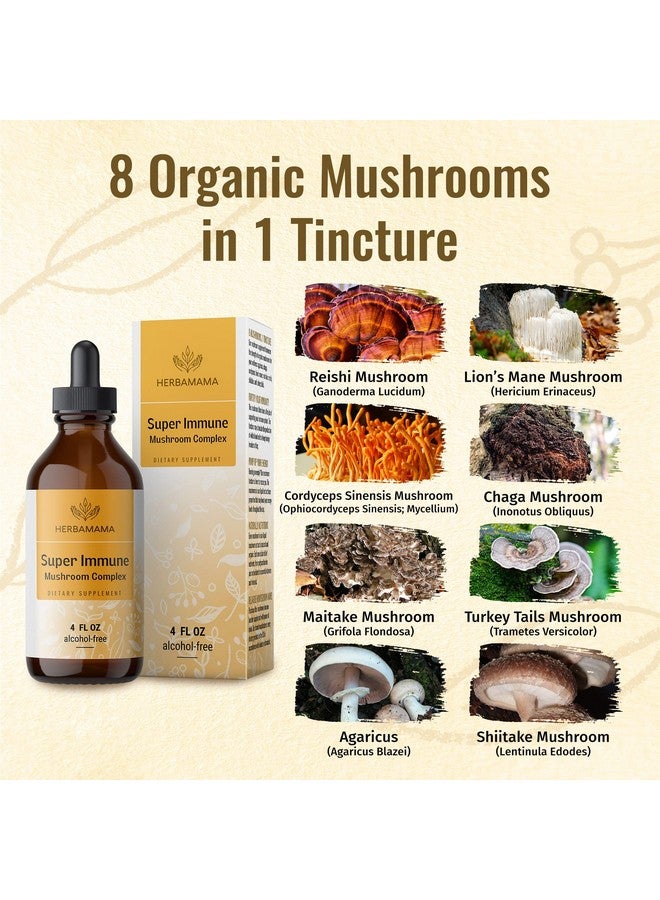 HERBAMAMA Super Immune Mushroom Complex Liquid Extract Immune Support & Energy Supplement Tincture W/Lions Mane Reishi Shiitake Turkey Tail & Chaga Natural Extracts 4 Fl. Vegan Herbal Drops - Image 4