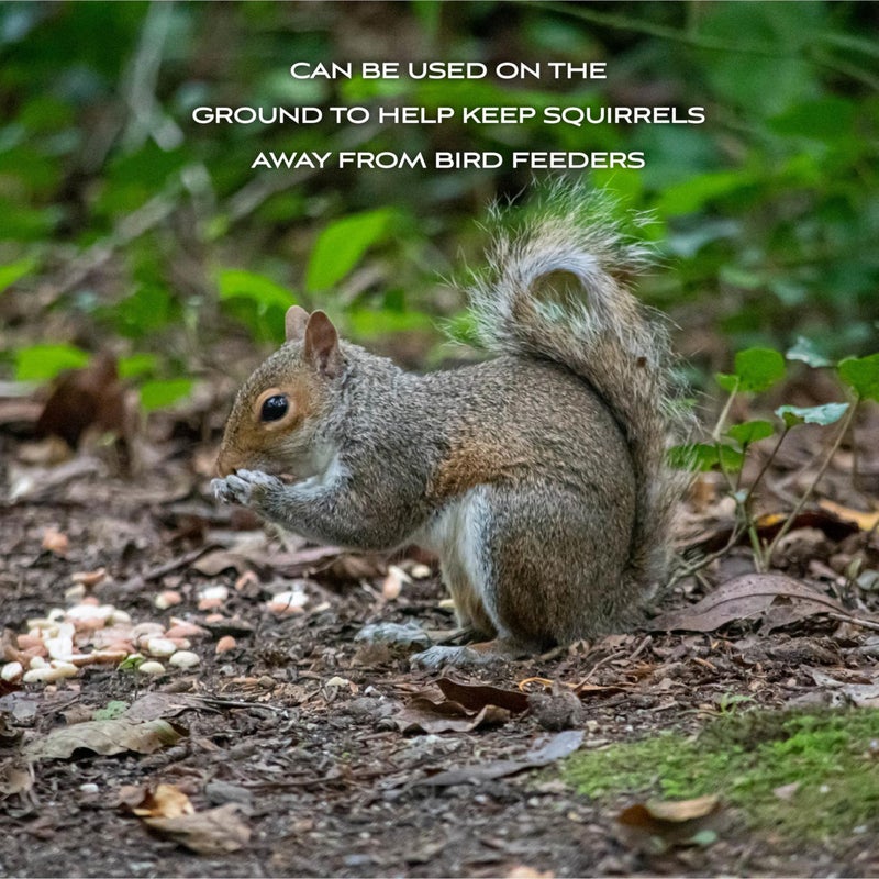 Pennington Classic Shelled Peanuts 5 pounds - Image 5