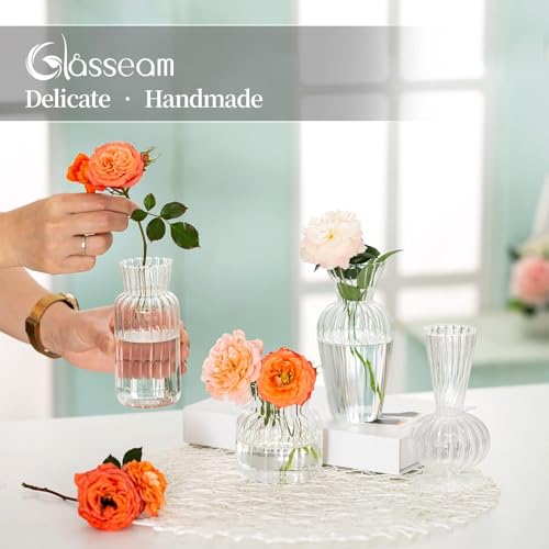 Glasseam Modern Clear Glass Bud Vase Bulk Set: Glasseam 8Pcs Small Mini Flower Centerpieces Vases Handmade DecorativeCute Short Window Corner Home Decor for Wedding Reception Dining Table Single Rose - Image 5