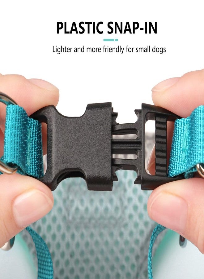 Beirui Small Dog Harness and Leash Set, No Pull Step-in Harness for Puppy, Lightweight Air Mesh Pet Harness for Small Dogs (Blue, S) - Image 4
