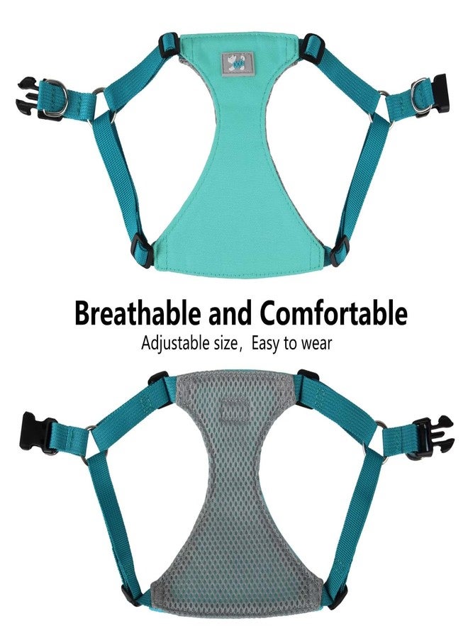 Beirui Small Dog Harness and Leash Set, No Pull Step-in Harness for Puppy, Lightweight Air Mesh Pet Harness for Small Dogs (Blue, S) - Image 3