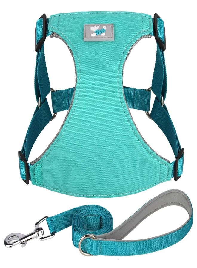 Beirui Small Dog Harness and Leash Set, No Pull Step-in Harness for Puppy, Lightweight Air Mesh Pet Harness for Small Dogs (Blue, S) - Image 1