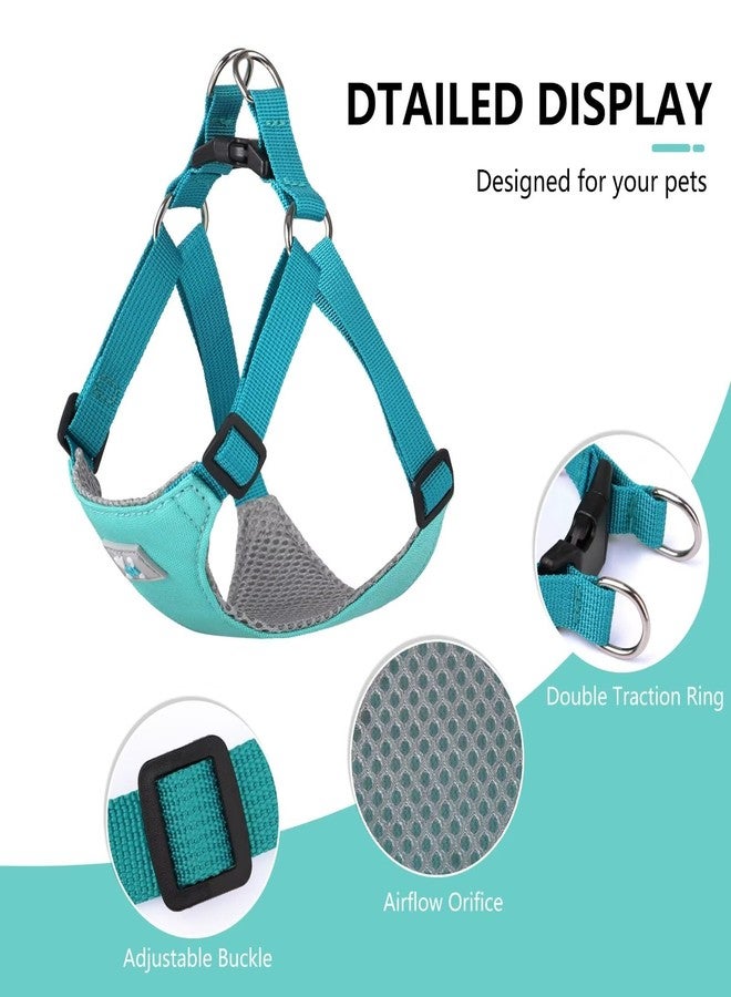 Beirui Small Dog Harness and Leash Set, No Pull Step-in Harness for Puppy, Lightweight Air Mesh Pet Harness for Small Dogs (Blue, S) - Image 2