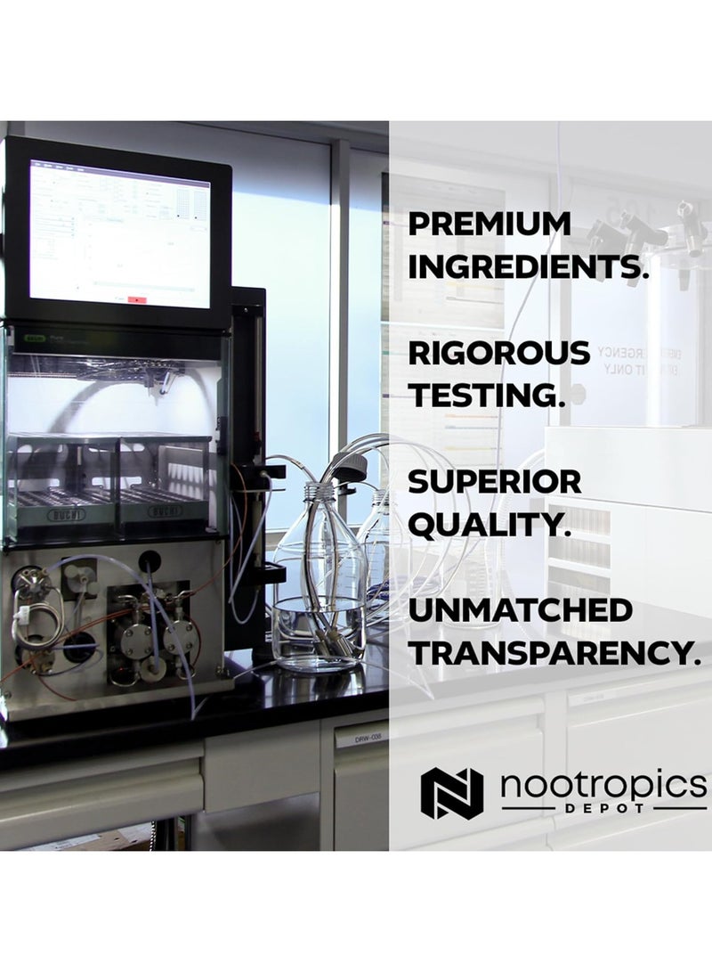 Nootropics Depot PrimaVie Purified Shilajit, 250mg - 90 Count - Image 5