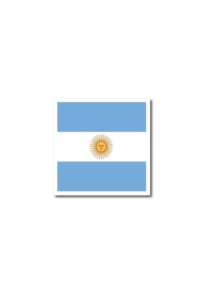3dRose Argentina Flag Iron on Heat Transfer for White Material, 10 by 10-Inch - Image 4