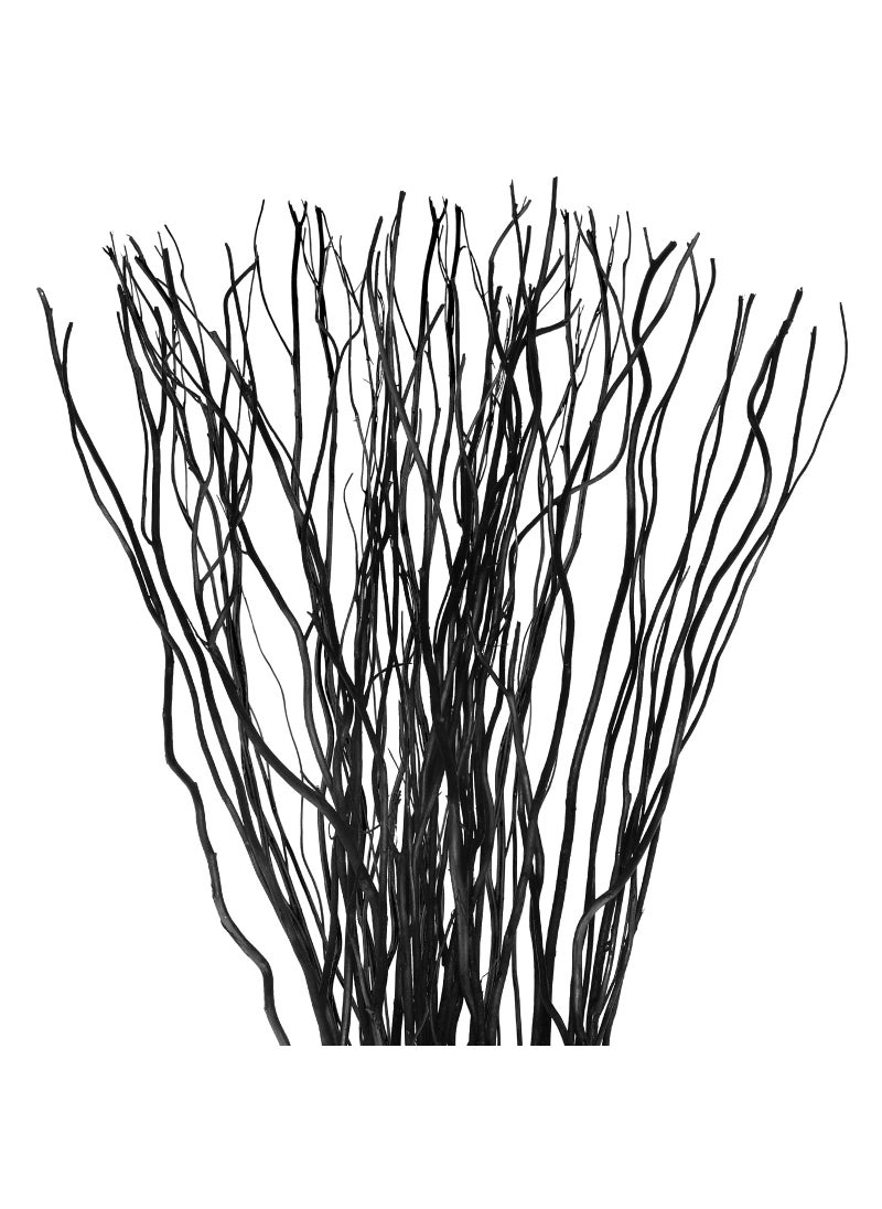 Xinnun Xinnun 50 Pcs Curly Willow Branches Decorative Dried Willow Vase Filler Tree Branches for Artificial Twigs Sticks for DIY Crafts Home DecorBlack1575 Inch 