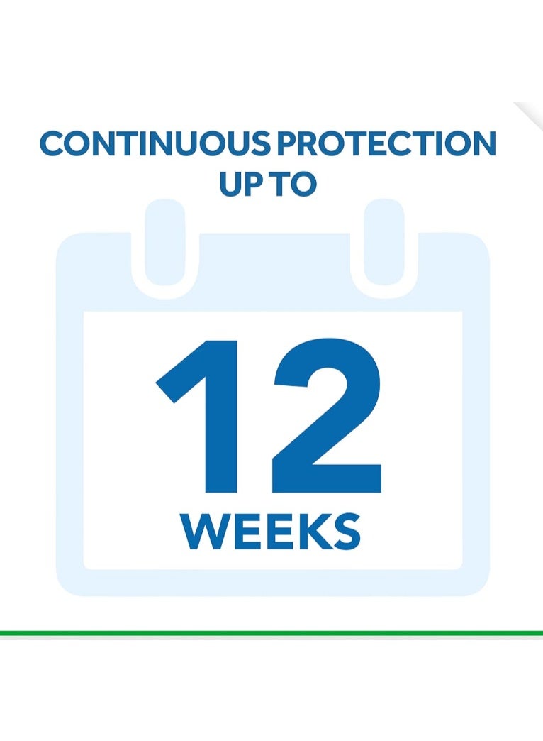 ريد مسحوق ريد فائق السرعة لقتل الحشرات الزاحفة، يدوم طويلاً، لا يترك رائحة نفاذة، 250 مل - Image 4