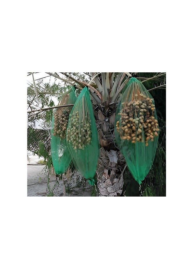 عباسلي كيس تمر بغطاء شبكي 90 × 70 سم (100)  - Image 4
