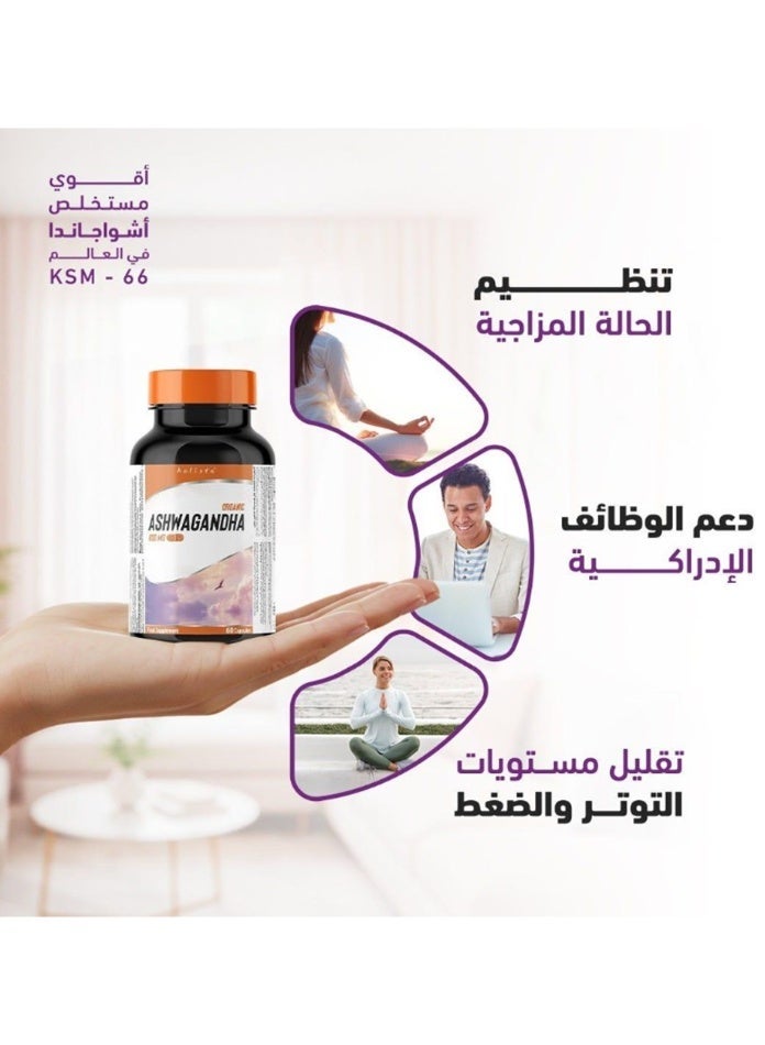 هوليستا أشواغاندا عضوية 600 ملغ 60 كبسولة - Image 3