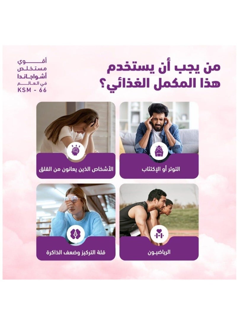 هوليستا أشواغاندا عضوية 600 ملغ 60 كبسولة - Image 2