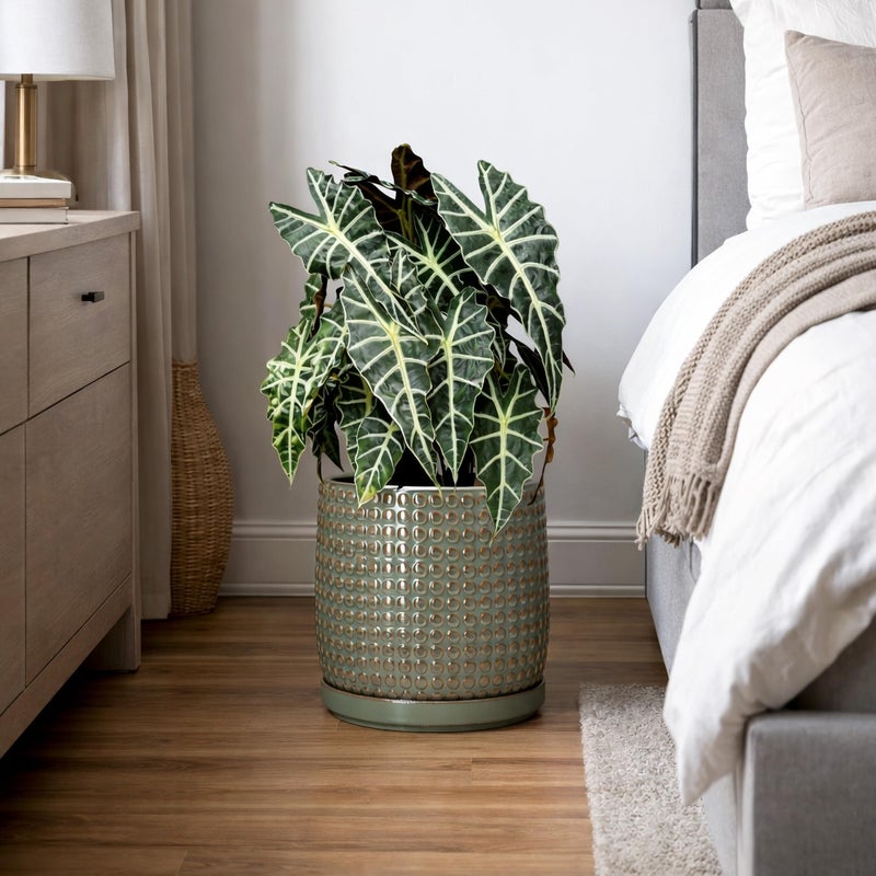 D'vine Dev 8 Inch Ceramic Beaded Stoneware Planter Pot - Flower Pot with Drainage Holes and Saucers for Indoor Succulent Plants or Flowers, Olive, 27-C-Q-0 - Image 2