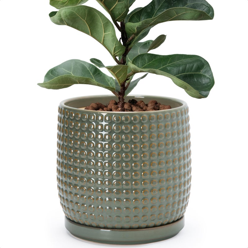 D'vine Dev 8 Inch Ceramic Beaded Stoneware Planter Pot - Flower Pot with Drainage Holes and Saucers for Indoor Succulent Plants or Flowers, Olive, 27-C-Q-0 - Image 1