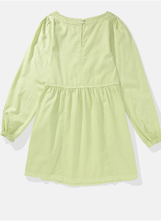 American Eagle Logo Balloon Sleeve Dress