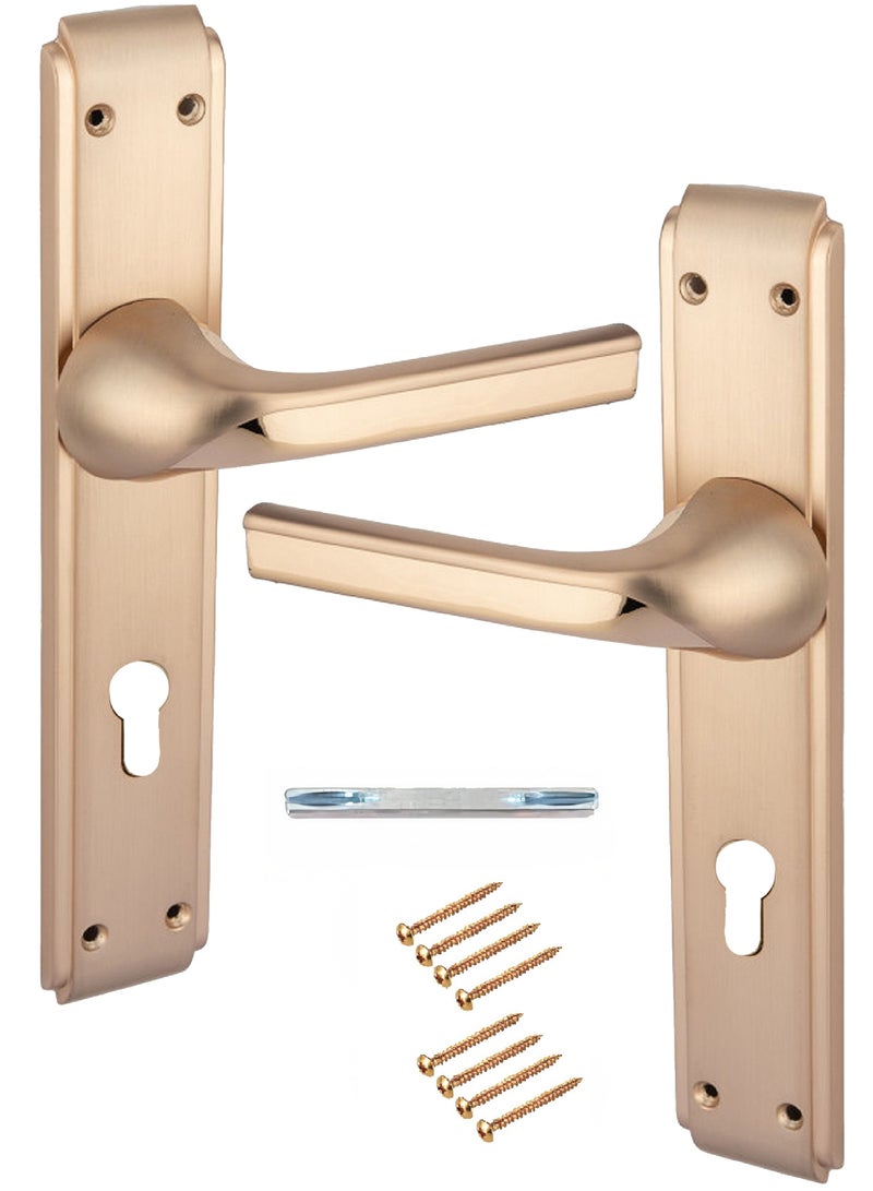 Pair Of Heavy Duty Door Handles Golden Color