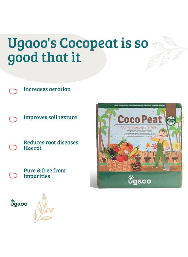 Ugaoo Cocopeat Block for Garden Plants 1 kg - Image 5