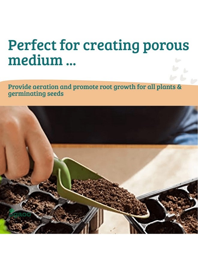 Ugaoo Cocopeat Block for Garden Plants 1 kg - Image 4