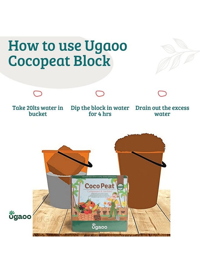 Ugaoo Cocopeat Block for Garden Plants 1 kg - Image 2