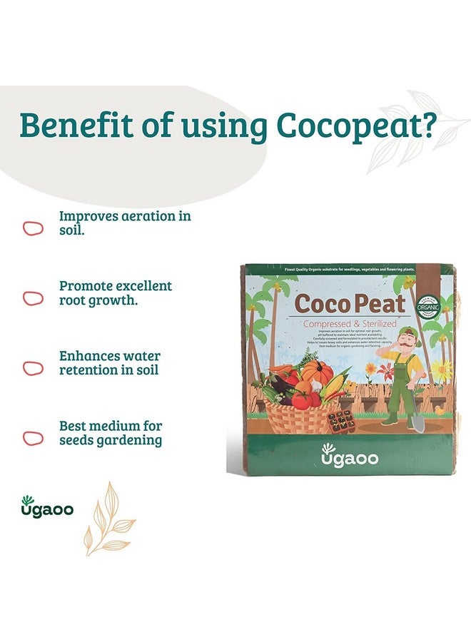 Ugaoo Cocopeat Block for Garden Plants 1 kg - Image 3