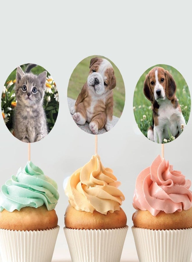 Hohamn 600 Pcs Puppy and Kitten Stickers for Kids Teachers 1.5 Inch 16 Styles Dog Cat Stickers for Kids Birthday Party School Reward Giveaways - Image 4